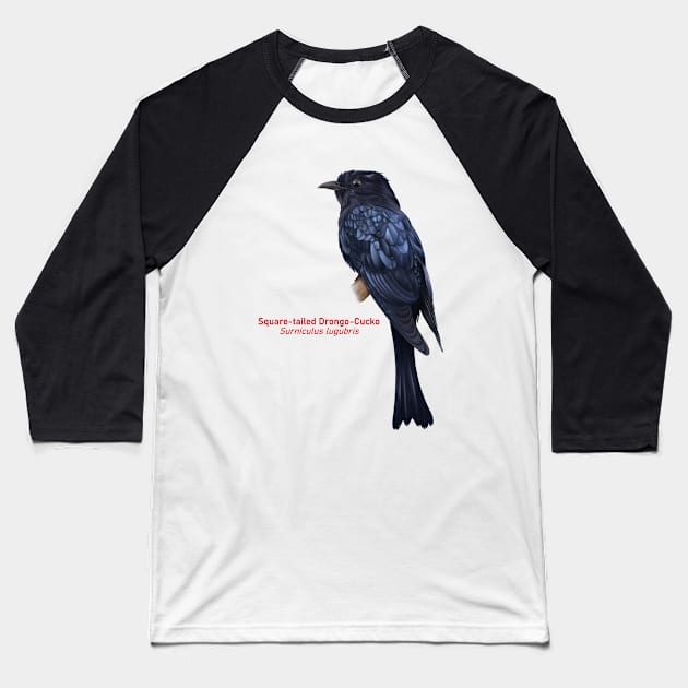 Square-tailed Drongo-Cucko | Surniculus lugubris Baseball T-Shirt by bona 